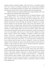 Verslo etika: atvejų analizė 2 puslapis