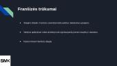 Franšizės verslo modelis 11 puslapis