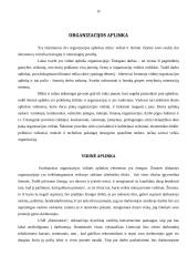 Verslo idėja: dyzelinių variklių konvertavimas į varomus aliejumi UAB "Biomotorai" 12 puslapis