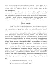 Verslo idėja: dyzelinių variklių konvertavimas į varomus aliejumi UAB "Biomotorai" 13 puslapis