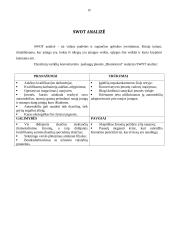 Verslo idėja: dyzelinių variklių konvertavimas į varomus aliejumi UAB "Biomotorai" 15 puslapis