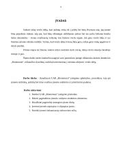 Verslo idėja: dyzelinių variklių konvertavimas į varomus aliejumi UAB "Biomotorai" 3 puslapis