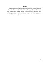 Verslo idėjos gyvybingumo pagrindimas, jos įgyvendinimas 12 puslapis