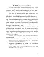 Verslo idėjos gyvybingumo pagrindimas, jos įgyvendinimas 4 puslapis