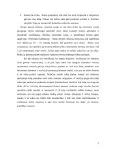 Verslo idėjos gyvybingumo pagrindimas, jos įgyvendinimas 5 puslapis