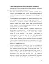 Verslo idėjos gyvybingumo pagrindimas, jos įgyvendinimas 6 puslapis