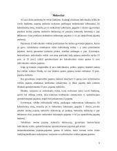 Verslo idėjos gyvybingumo pagrindimas, jos įgyvendinimas 9 puslapis