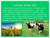 Latvijos pristatymas 6 puslapis