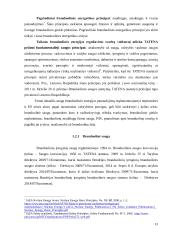 Taikaus branduolinės energijos panaudojimo saugumo reguliavimas tarptautinėje teisėje  10 puslapis