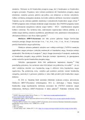 Taikaus branduolinės energijos panaudojimo saugumo reguliavimas tarptautinėje teisėje  13 puslapis