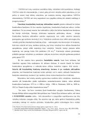 Taikaus branduolinės energijos panaudojimo saugumo reguliavimas tarptautinėje teisėje  20 puslapis