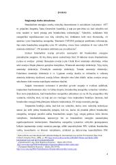 Taikaus branduolinės energijos panaudojimo saugumo reguliavimas tarptautinėje teisėje  3 puslapis