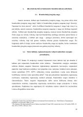 Taikaus branduolinės energijos panaudojimo saugumo reguliavimas tarptautinėje teisėje  9 puslapis