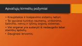 Apvaliosios kirmėlės (skaidrės) 2 puslapis
