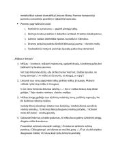 A. Baranauskas. Konspektas 2 puslapis