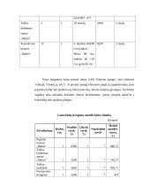 Verslo planas: bandelių gamyba ir realizavimas "Stelma" 11 puslapis