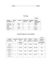 Verslo planas: bandelių gamyba ir realizavimas "Stelma" 12 puslapis
