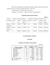 Verslo planas: bandelių gamyba ir realizavimas "Stelma" 15 puslapis