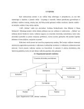 Verslo planas: bandelių gamyba ir realizavimas "Stelma" 20 puslapis