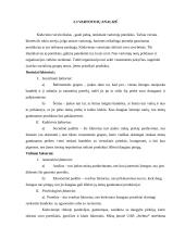 Verslo planas: bandelių gamyba ir realizavimas "Stelma" 7 puslapis