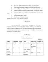 Verslo planas: bandelių gamyba ir realizavimas "Stelma" 10 puslapis