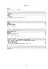 Verslo planas: grožio salonas IĮ "Onievė" 2 puslapis