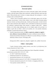 Verslo planas: grožio salonas IĮ "Onievė" 12 puslapis