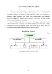 Verslo planas: grožio salonas IĮ "Onievė" 14 puslapis