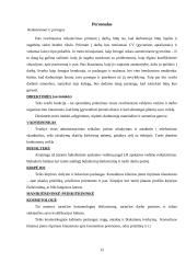 Verslo planas: grožio salonas IĮ "Onievė" 15 puslapis