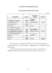 Verslo planas: grožio salonas IĮ "Onievė" 20 puslapis