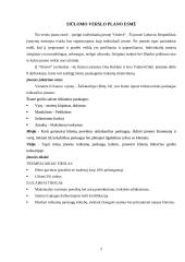 Verslo planas: grožio salonas IĮ "Onievė" 5 puslapis