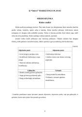 Verslo planas: grožio salonas IĮ "Onievė" 6 puslapis