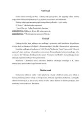 Verslo planas: grožio salonas IĮ "Onievė" 7 puslapis