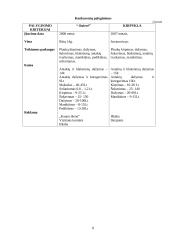 Verslo planas: grožio salonas IĮ "Onievė" 8 puslapis