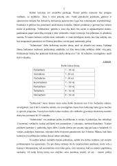 Verslo planas: kaimo turizmo sodyba "Submarinas" 2 puslapis