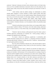 Verslo planas: kaimo turizmo sodyba "Submarinas" 3 puslapis