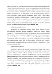  Verslo komunikacijos su Vokietija ypatumai 11 puslapis