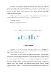  Verslo komunikacijos su Vokietija ypatumai 16 puslapis