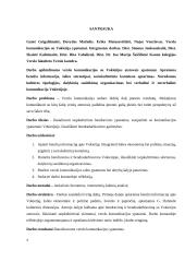  Verslo komunikacijos su Vokietija ypatumai 2 puslapis