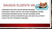 Saugus elgesys prie vandens / vandenyje 5 puslapis
