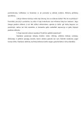 Kontrolės proceso analizė ir priemonių parinkimas 2 puslapis