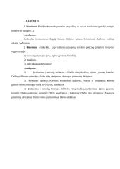 Kontrolės proceso analizė ir priemonių parinkimas 3 puslapis