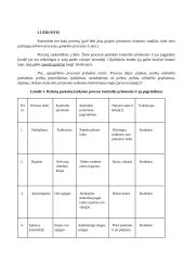 Kontrolės proceso analizė ir priemonių parinkimas 4 puslapis