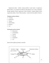 Verslo planas: kavinė IĮ "Oba" 12 puslapis