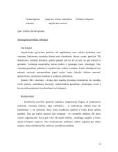 Verslo planas: kavinė IĮ "Oba" 13 puslapis