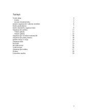 Verslo planas: kavinė IĮ "Oba" 2 puslapis