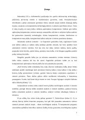 Programinė įranga lietuviško sakinio sintaksinei struktūrai atvaizduoti grafu 2 puslapis