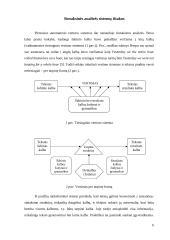 Programinė įranga lietuviško sakinio sintaksinei struktūrai atvaizduoti grafu 5 puslapis