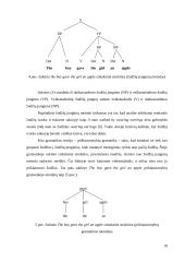 Programinė įranga lietuviško sakinio sintaksinei struktūrai atvaizduoti grafu 9 puslapis