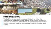 Water pollution: causes and effects 4 puslapis